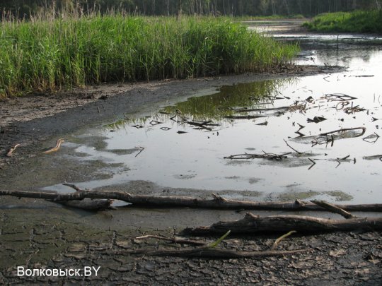 Есть ли хозяева на Шиловичской земле