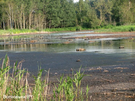 Есть ли хозяева на Шиловичской земле