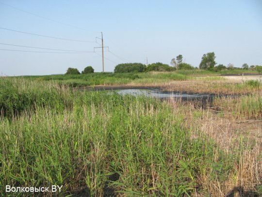 Есть ли хозяева на Шиловичской земле