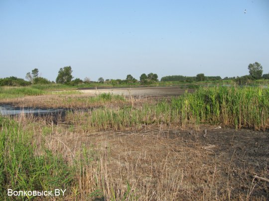 Есть ли хозяева на Шиловичской земле