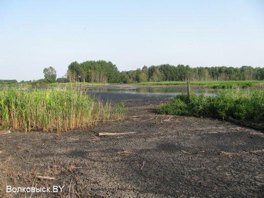 Есть ли хозяева на Шиловичской земле