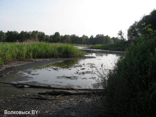 Есть ли хозяева на Шиловичской земле