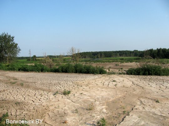 Есть ли хозяева на Шиловичской земле