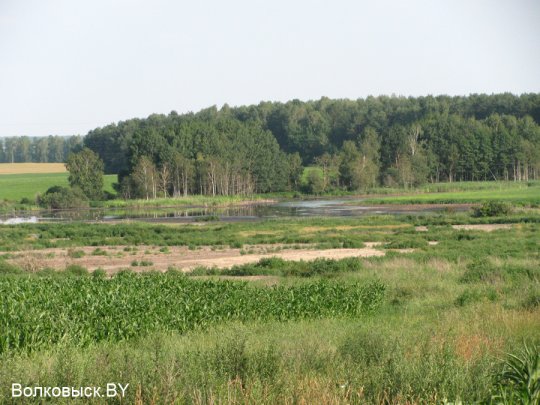 Есть ли хозяева на Шиловичской земле