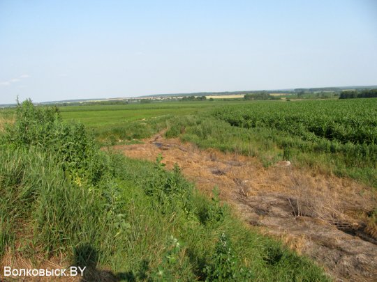 Есть ли хозяева на Шиловичской земле
