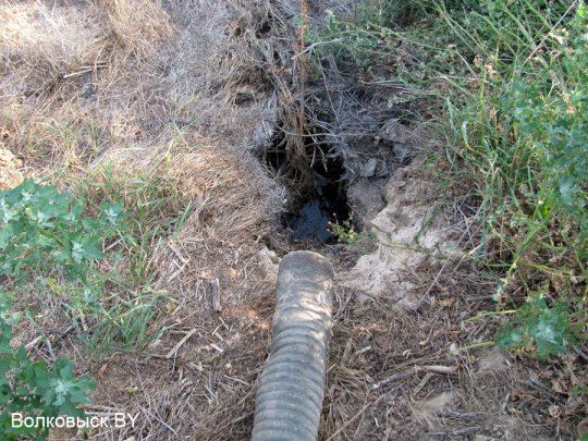 Есть ли хозяева на Шиловичской земле