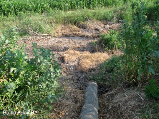 Есть ли хозяева на Шиловичской земле