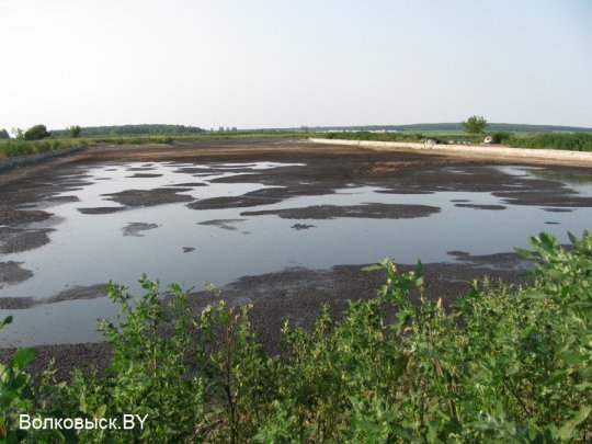 Есть ли хозяева на Шиловичской земле