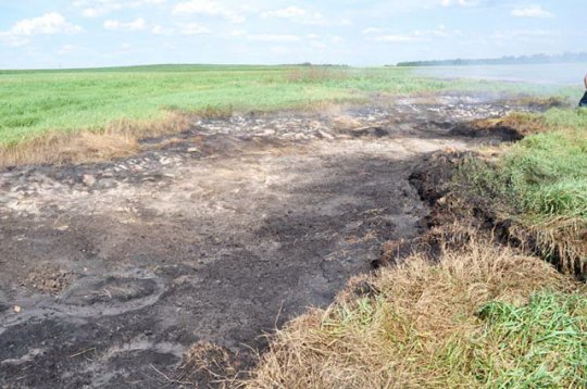 Горели торфяники в Слонимском районе