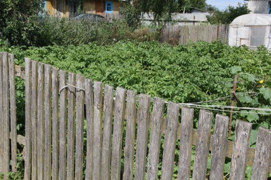 Почти месяц живут без света семь семей в Новоорловичах