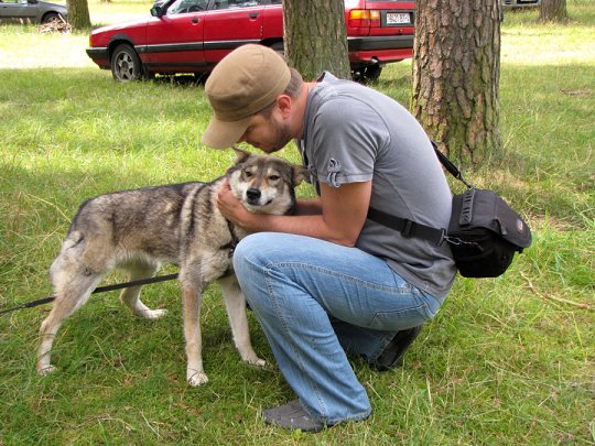 Региональная выставка собак (фото)