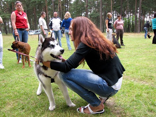 Региональная выставка собак (фото)
