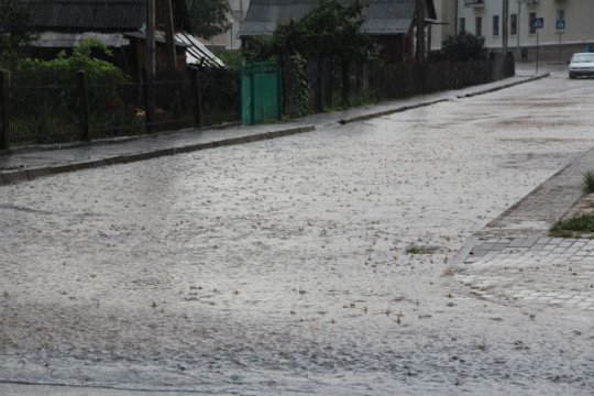 Слоним «бомбил» град (ВИДЕО)