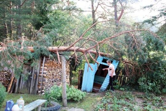 Слоним «бомбил» град (Обновлено) (ВИДЕО)