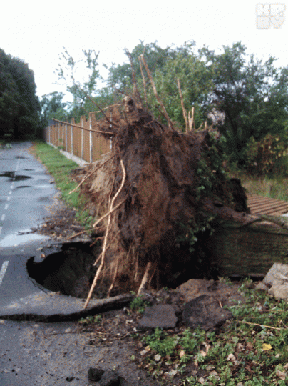 По Брестской области пронесся ураган - фото