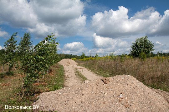 В Волковысском районе будет свой дендропарк