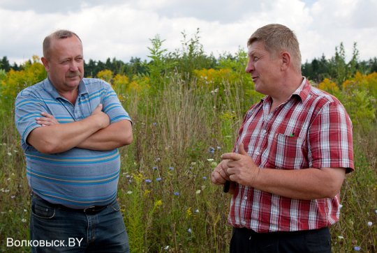 В Волковысском районе будет свой дендропарк