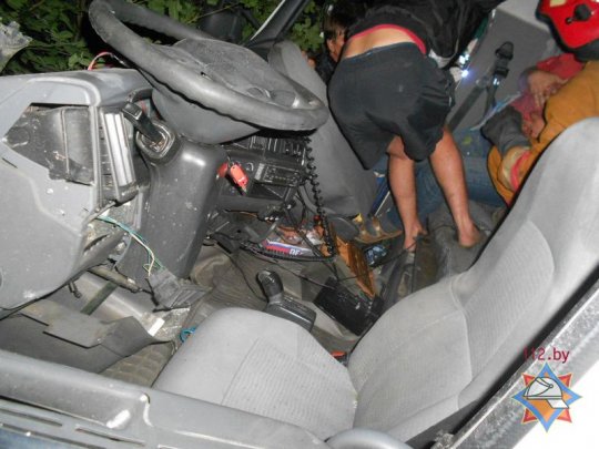 В Рогачевском районе фура влетела в дерево (фото)