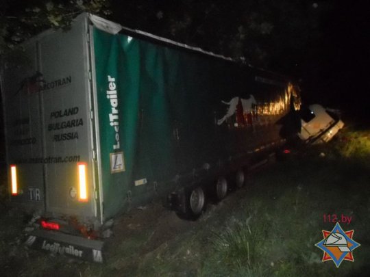 В Рогачевском районе фура влетела в дерево (фото)