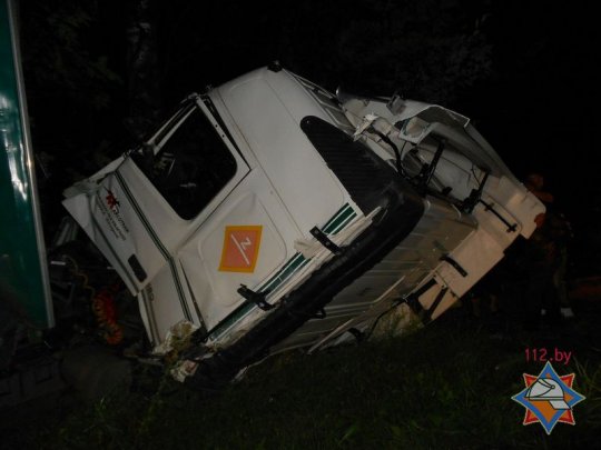 В Рогачевском районе фура влетела в дерево (фото)