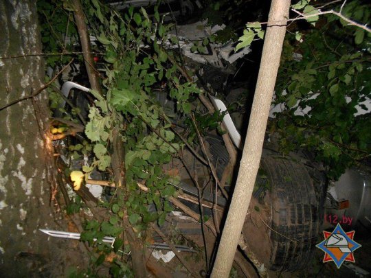 В Рогачевском районе фура влетела в дерево (фото)