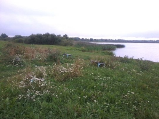 Бераг возера каля Пятроўшчыны ператварыўся ў сметнік - фота
