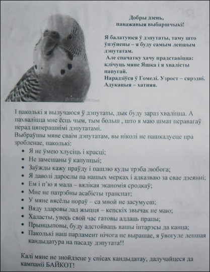 Фотофакт: в Светлогорске в депутаты решил пойти попугай Яшка