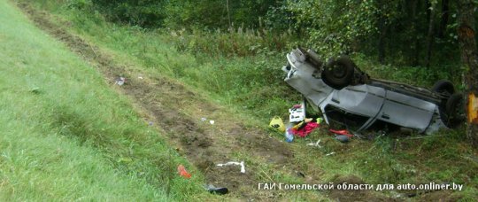 В сбившем лося "Рено" погибла пассажирка (фото)
