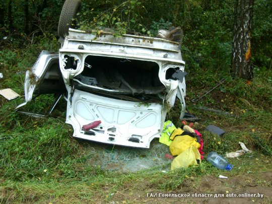В сбившем лося "Рено" погибла пассажирка (фото)