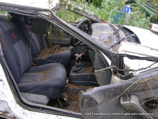 В сбившем лося "Рено" погибла пассажирка (фото)