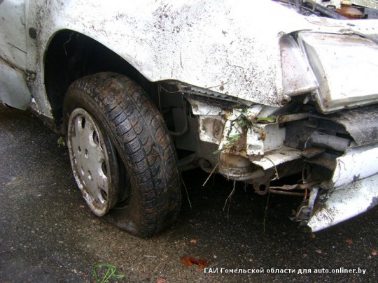 В сбившем лося "Рено" погибла пассажирка (фото)