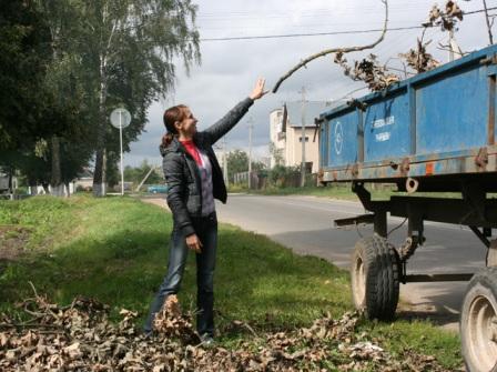 Сделай свой город чище Сделай свой город чище