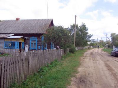 В Пинском районе дикий кабан напугал деревню и растерзал человека на крыльце дома