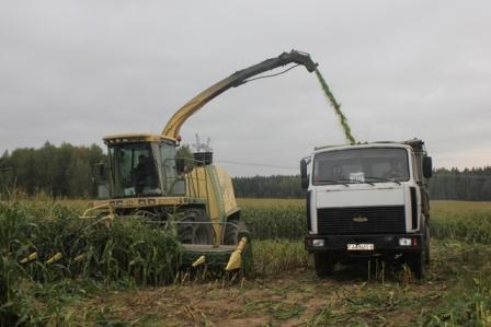 В «ЖодиноАгроПлемЭлите» за неделю планируют завершить уборку урожая