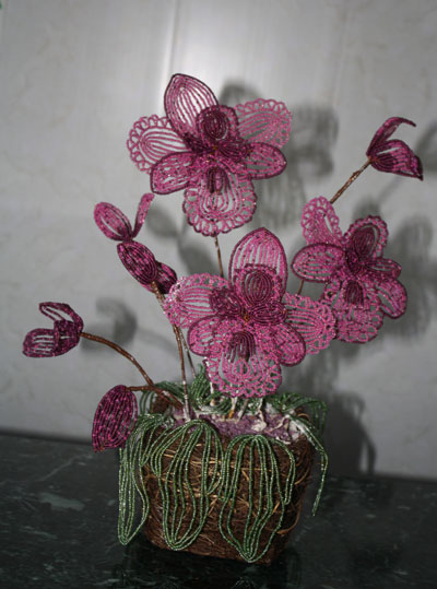 Бісерам расквеціла жыццё