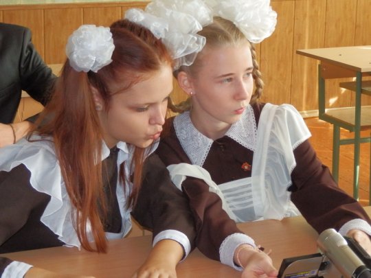 Начался учебный год