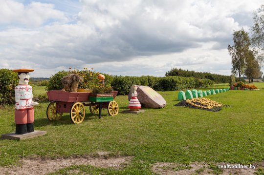 «Дажынкі»: чудеса в полях и бесплатная рабочая сила
