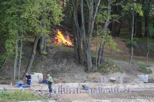 «Дажынкі»: чудеса в полях и бесплатная рабочая сила