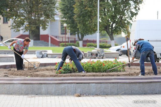 «Дажынкі»: чудеса в полях и бесплатная рабочая сила