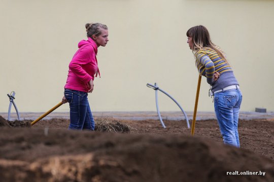 «Дажынкі»: чудеса в полях и бесплатная рабочая сила