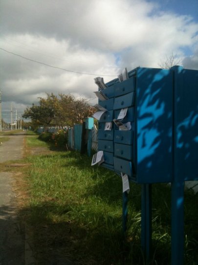 Движение «За Свободу!» и «ГДФ» «накрыли» Гомельскую область