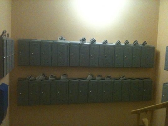 Движение «За Свободу!» и «ГДФ» «накрыли» Гомельскую область