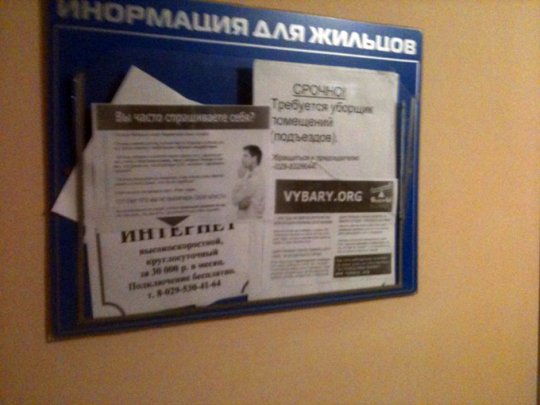 Движение «За Свободу!» и «ГДФ» «накрыли» Гомельскую область