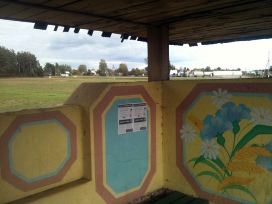 Движение «За Свободу!» и «ГДФ» «накрыли» Гомельскую область