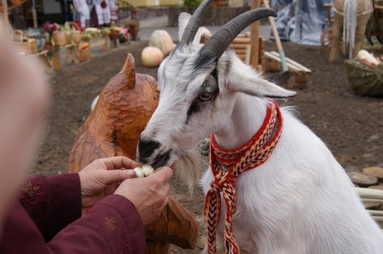 Выставка хлеба в Горках