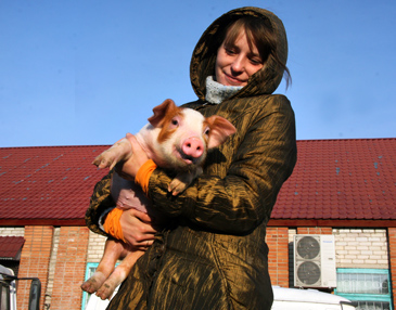 Ярмарка в Поставах удалась! Ярмарка в Поставах удалась!