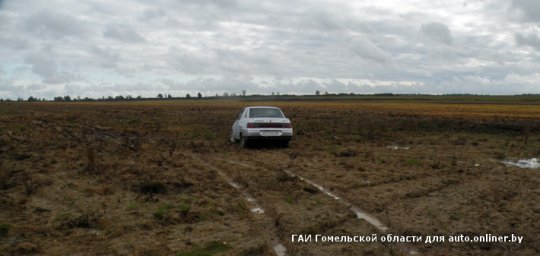 Под Рогачевом сотрудники ГАИ стреляли в пьяного водителя (фото)