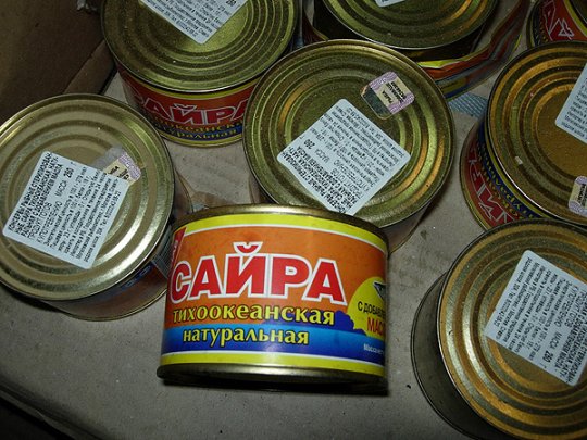 В Могилеве изъята партия нелегальной мороженой рыбы и консервов на Вr18 млн.