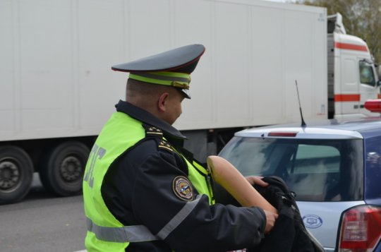 6 октября Гродненская ГАИ провела акцию “Прояви человечность”
