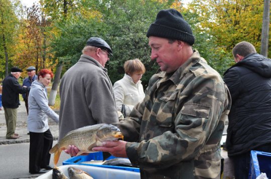 Наибольшим спросом пользовались картофель, лук и капуста